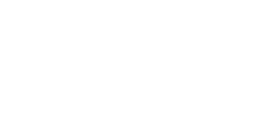 IP Capital Partners
